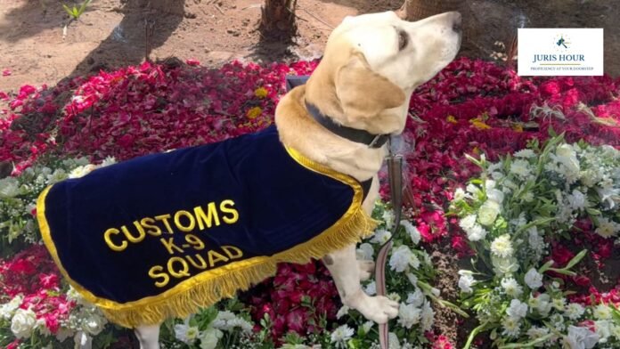 Ahmedabad Customs Sniffer Dog “Hooty” Passes Away After Distinguished Service in Anti-Narcotics Operations