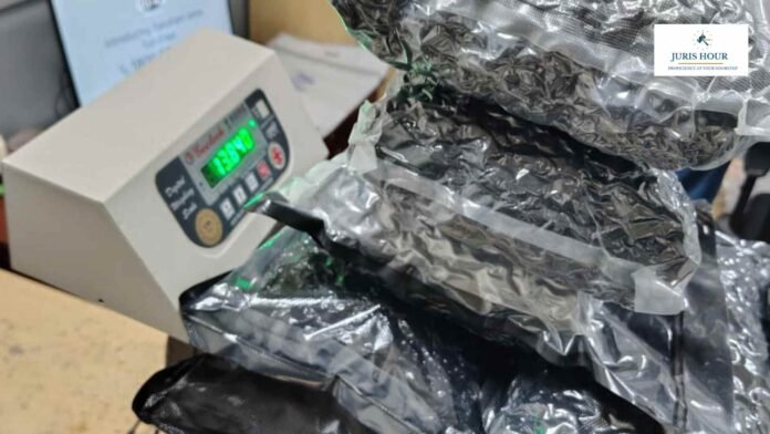 Customs Seizes Hydroponic Weed Worth 4.83 Crore at Delhi IGI Airport Customs Seizes Hydroponic Weed Worth ₹4.83 Crore at Delhi IGI Airport