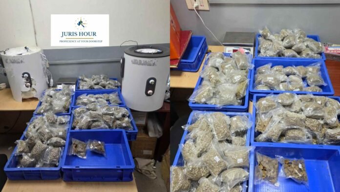 customs igi airport delhi Customs Seizes Rs. 5.38 Crore Hydroponic Weed Smuggling Bid at IGI Airport Hidden In Geysers