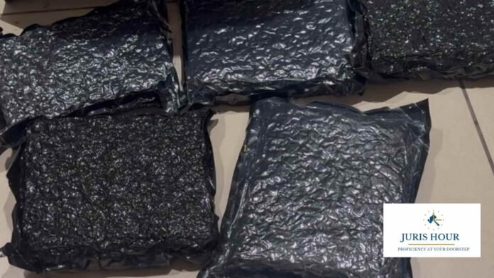 Hydroponic Marijuana Ahmedabad Customs 5.36 Kg Hydroponic Marijuana Seized at Ahmedabad Airport; Passenger from Bangkok Arrested Under NDPS Act