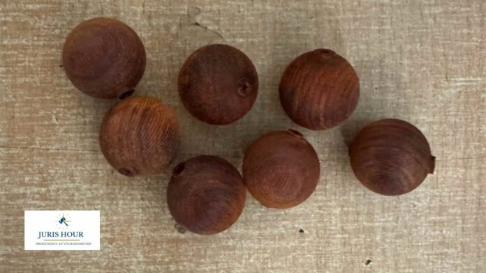 Customs Foils Attempt to Smuggle 365.545 Kg of Red Sanders to Hong Kong, Passenger Arrested at Delhi's IGI Airport Customs Foils Attempt to Smuggle 365.545 Kg of Red Sanders to Hong Kong, Passenger Arrested at Delhi's IGI Airport