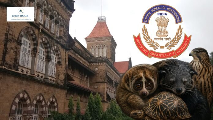 bombay high court dr. sujay kantawala CBI Wildlife Trafficking Case: Mumbai Court Grants Bail Citing Lack of Specific Possession Allegations