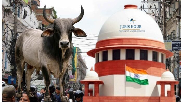 Victims of Stray Animal Attacks Can’t Be Left Remediless After Years of Litigation: Supreme Court Victims of Stray Animal Attacks Can’t Be Left Remediless After Years of Litigation: Supreme Court
