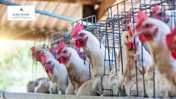 CESTAT Quashes Excise Duty Demand on Poultry Cage Weld Mesh CESTAT Quashes Excise Duty Demand on Poultry Cage Weld Mesh