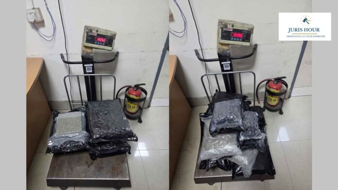 IGI Airport Customs Seizes 27.45 Kg Suspected Hydroponic Ganja; Four Passengers Apprehended in Baggage-Swap Operation IGI Airport Customs Seizes 27.45 Kg Suspected Hydroponic Ganja; Four Passengers Apprehended in Baggage-Swap Operation
